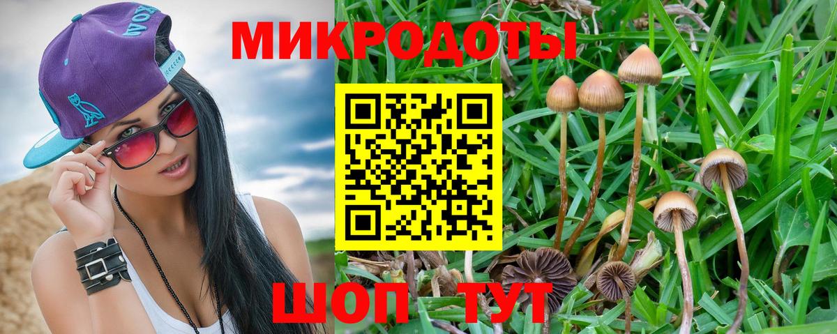 Нарткала  Псилоцибиновые грибы MAGIC MUSHROOMS  Вход с VPN  Галлюциногенные грибы Magic Shrooms 