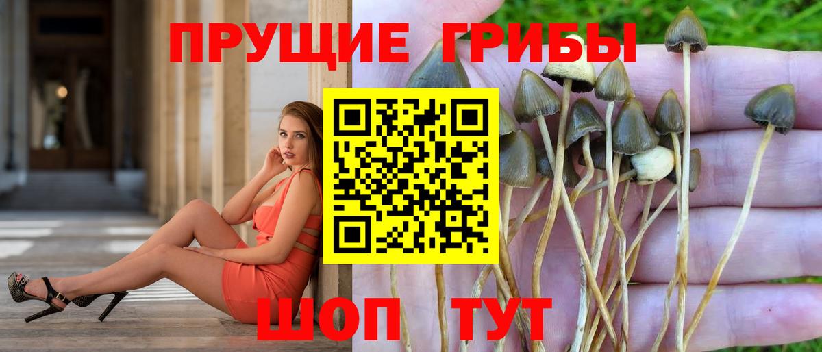 NBOMe  Вход с VPN  Метадон  Гашиш  Alpha-PVP СК   Мефедрон   Нарткала  Марихуана  Кокаин 
